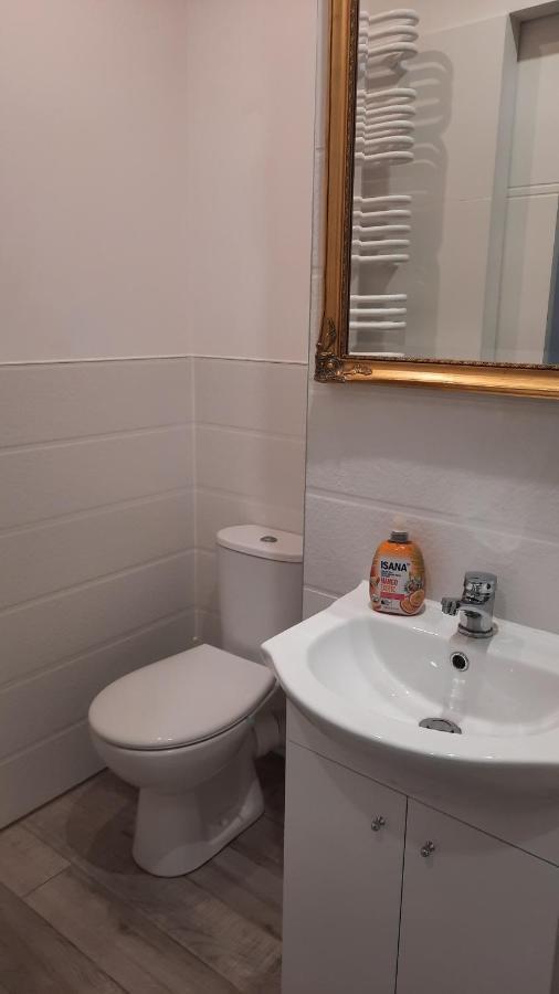 Apartament Katowicka Apartment พอซนาน ภายนอก รูปภาพ