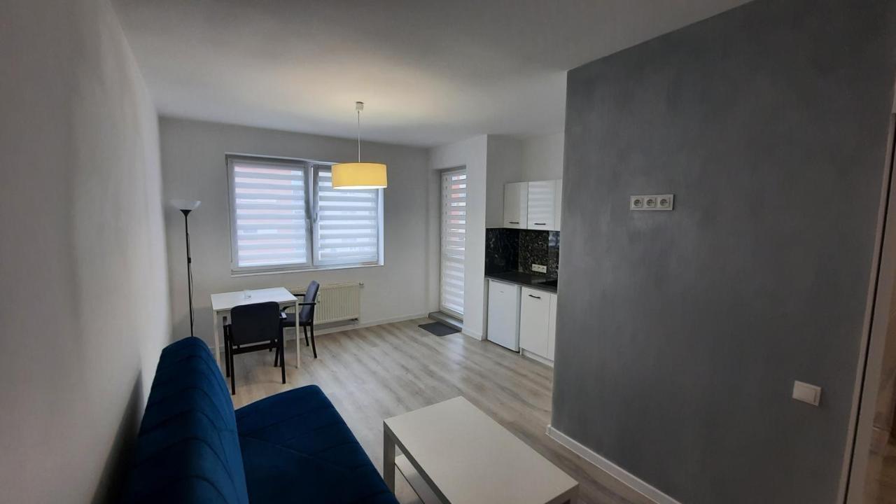 Apartament Katowicka Apartment พอซนาน ภายนอก รูปภาพ